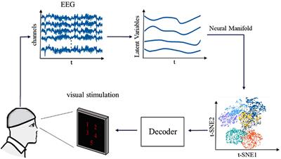 Decoding Digital Visual Stimulation From Neural Manifold With Fuzzy Leaning on Cortical Oscillatory Dynamics